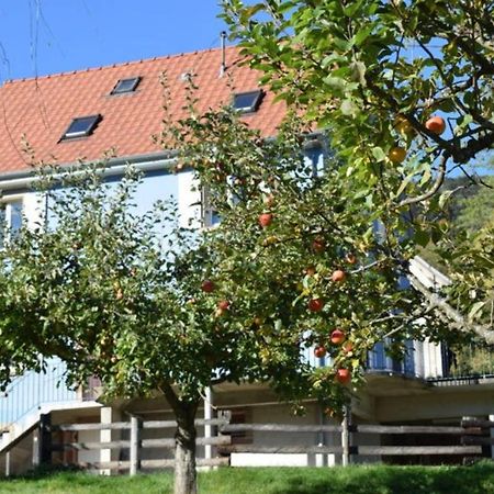 Appartement Les Locations de Stéphanie ,Gite Le Verger à Sondernach Extérieur photo