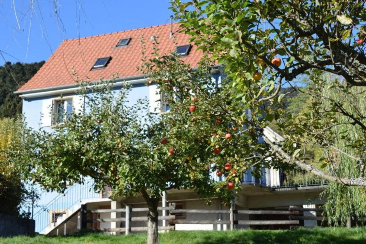 Les Locations de Stéphanie ,Gite Le Verger Sondernach Extérieur photo
