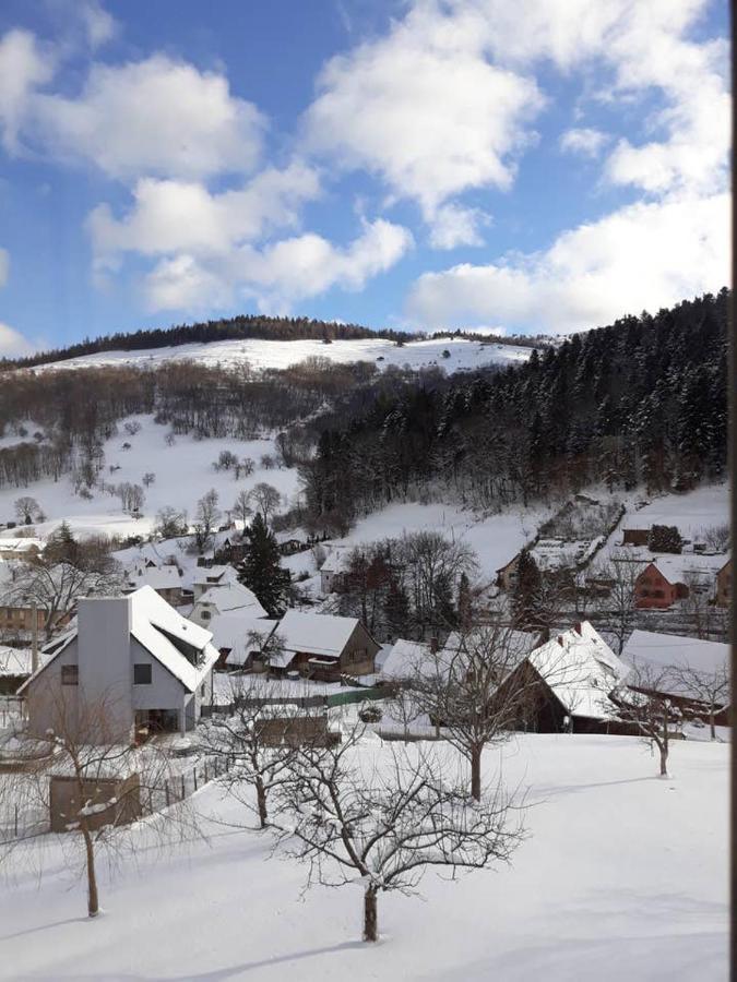 Appartement Les Locations de Stéphanie ,Gite Le Verger à Sondernach Extérieur photo