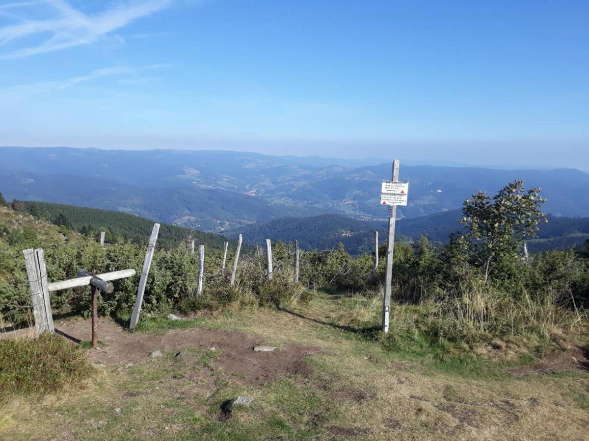 Appartement Les Locations de Stéphanie ,Gite Le Verger à Sondernach Extérieur photo