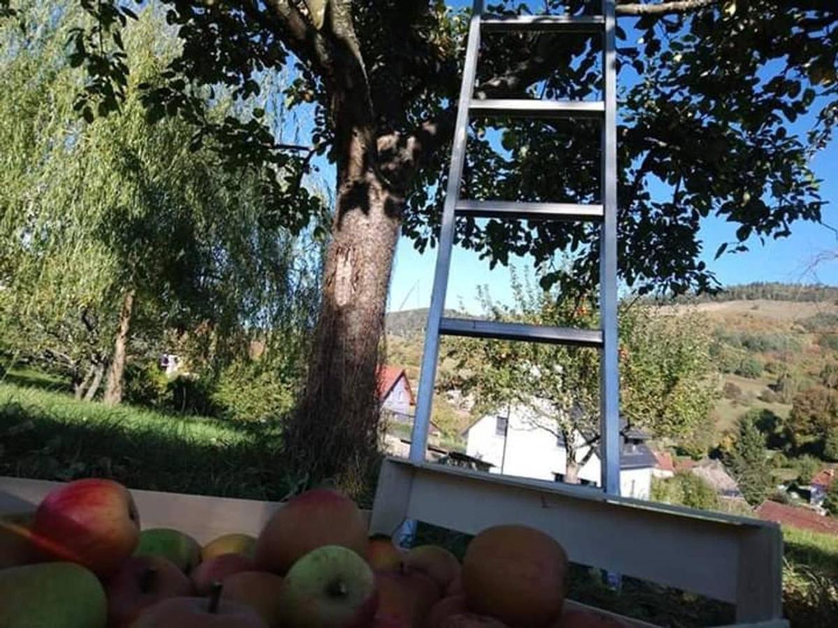 Les Locations de Stéphanie ,Gite Le Verger Sondernach Extérieur photo