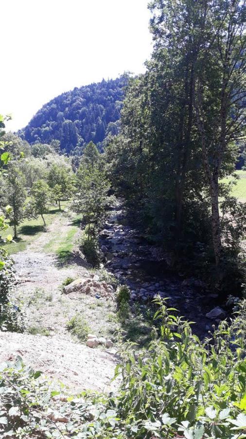 Appartement Les Locations de Stéphanie ,Gite Le Verger à Sondernach Extérieur photo