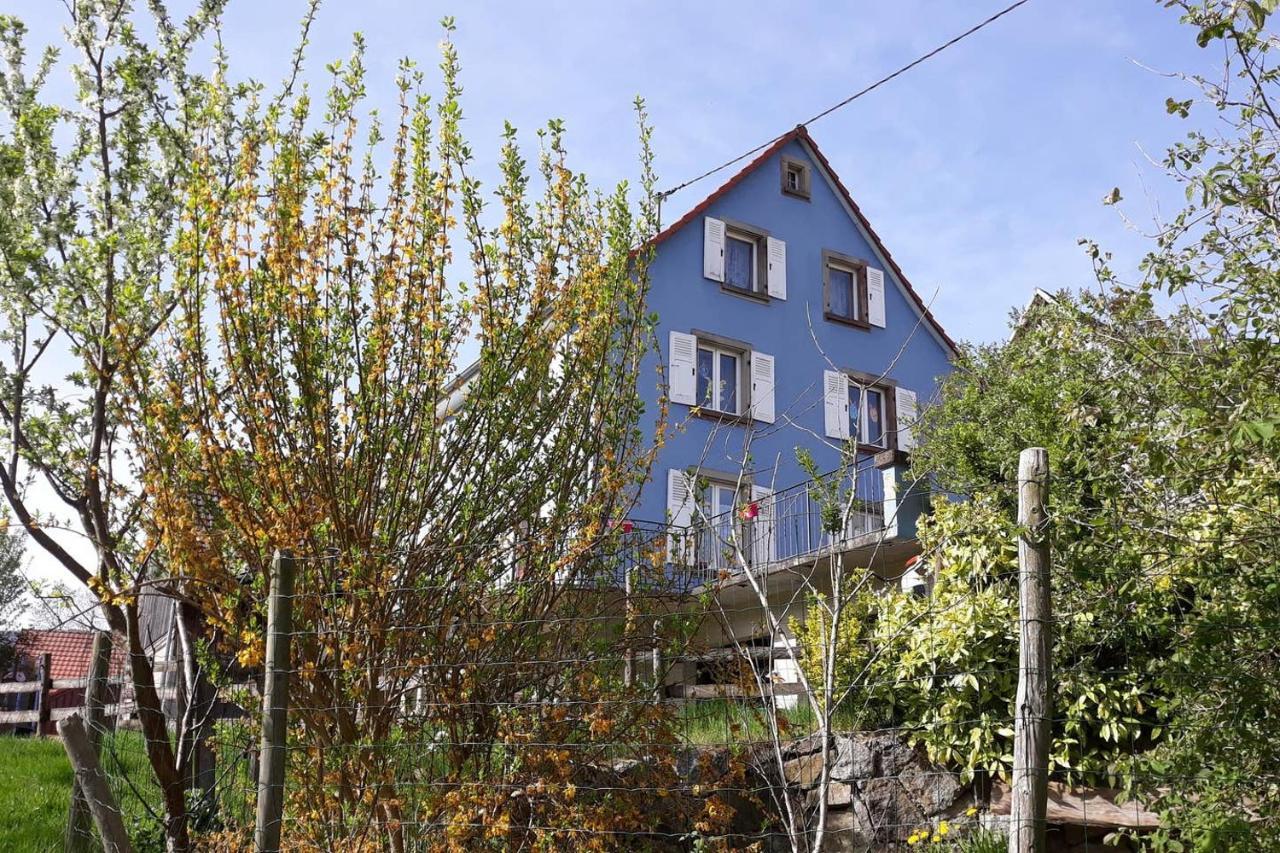 Appartement Les Locations de Stéphanie ,Gite Le Verger à Sondernach Extérieur photo