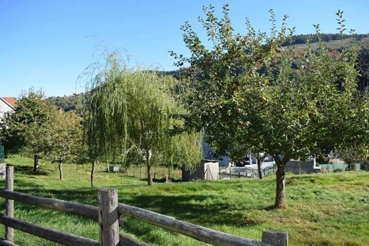 Appartement Les Locations de Stéphanie ,Gite Le Verger à Sondernach Extérieur photo