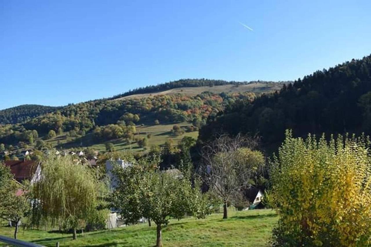 Appartement Les Locations de Stéphanie ,Gite Le Verger à Sondernach Extérieur photo