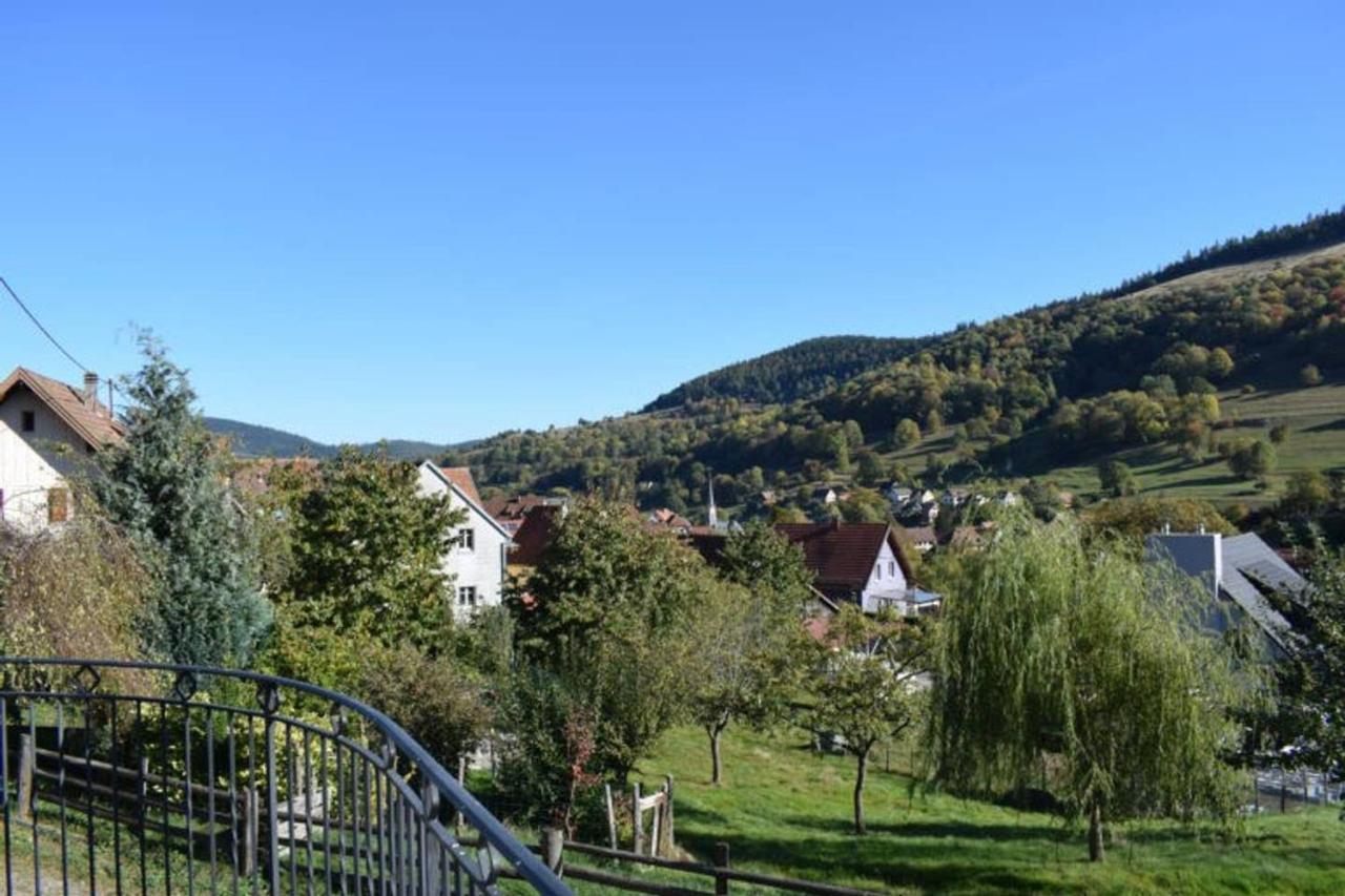 Appartement Les Locations de Stéphanie ,Gite Le Verger à Sondernach Extérieur photo