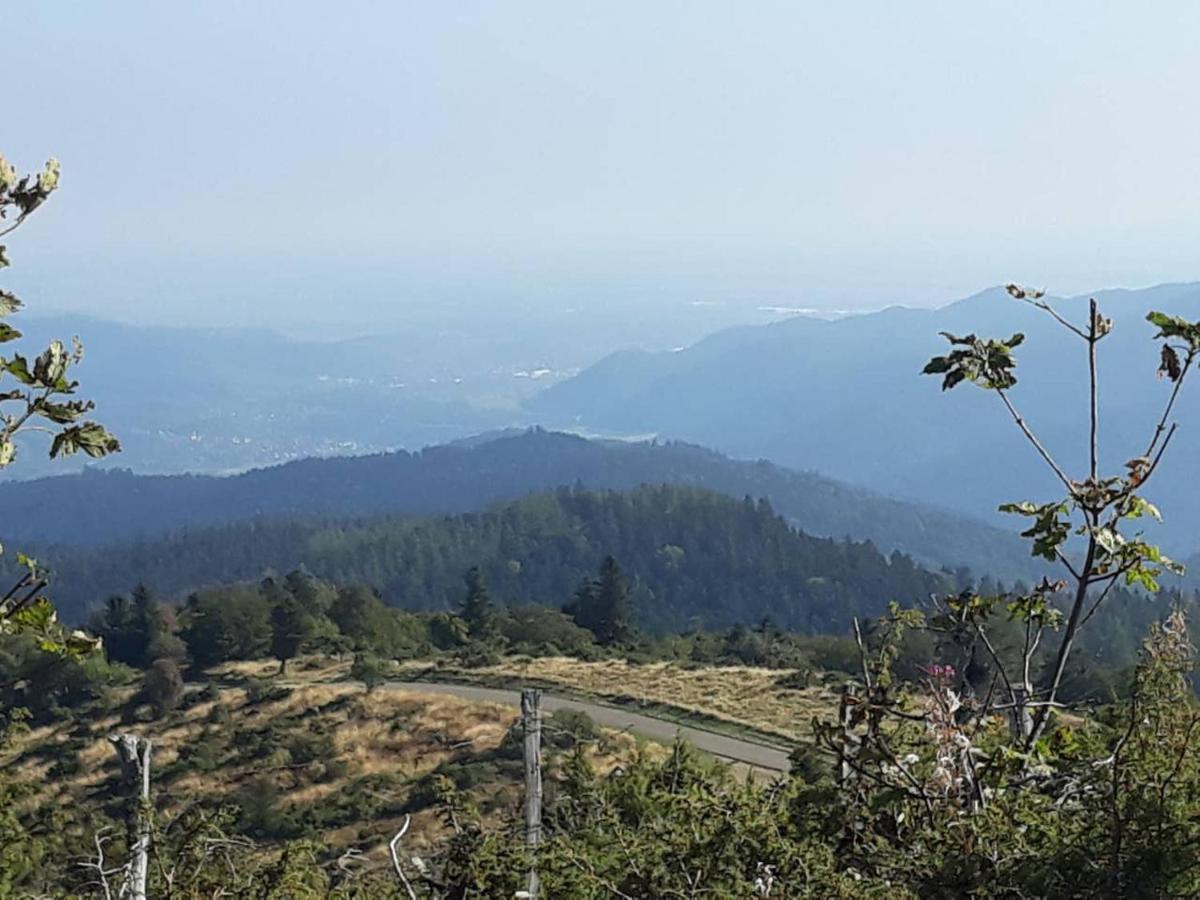 Les Locations de Stéphanie ,Gite Le Verger Sondernach Extérieur photo