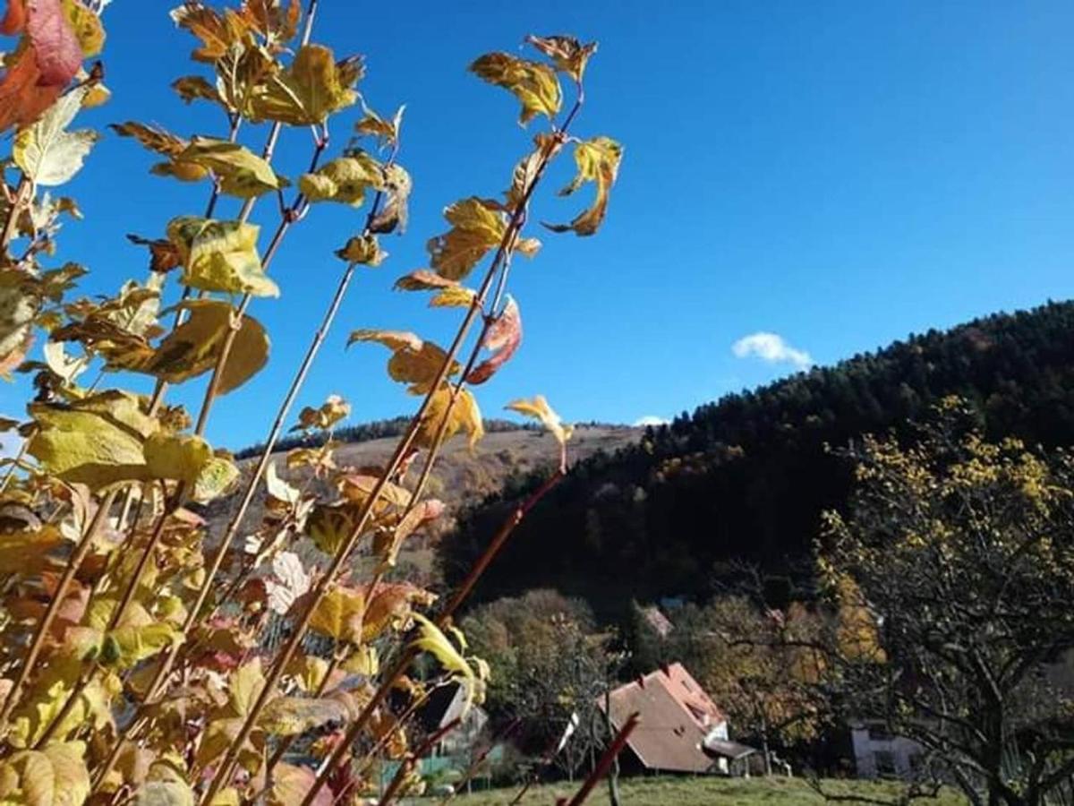 Les Locations de Stéphanie ,Gite Le Verger Sondernach Extérieur photo