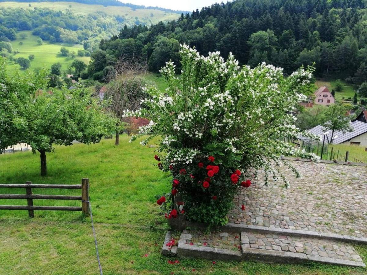 Les Locations de Stéphanie ,Gite Le Verger Sondernach Extérieur photo