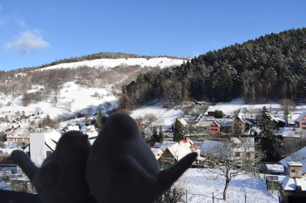 Appartement Les Locations de Stéphanie ,Gite Le Verger à Sondernach Extérieur photo