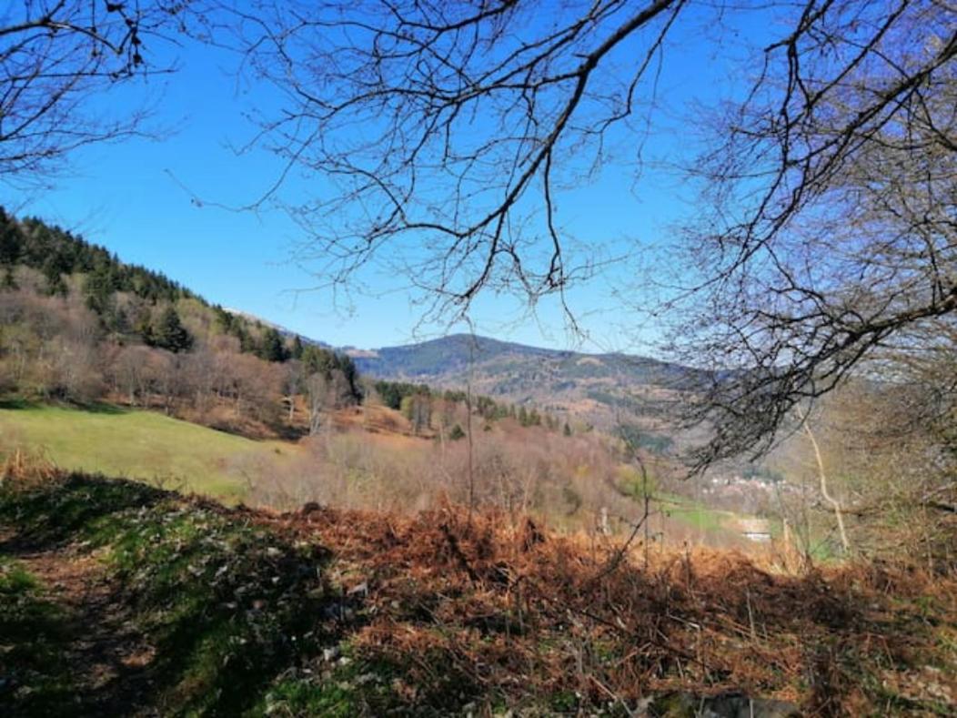 Appartement Les Locations de Stéphanie ,Gite Le Verger à Sondernach Extérieur photo