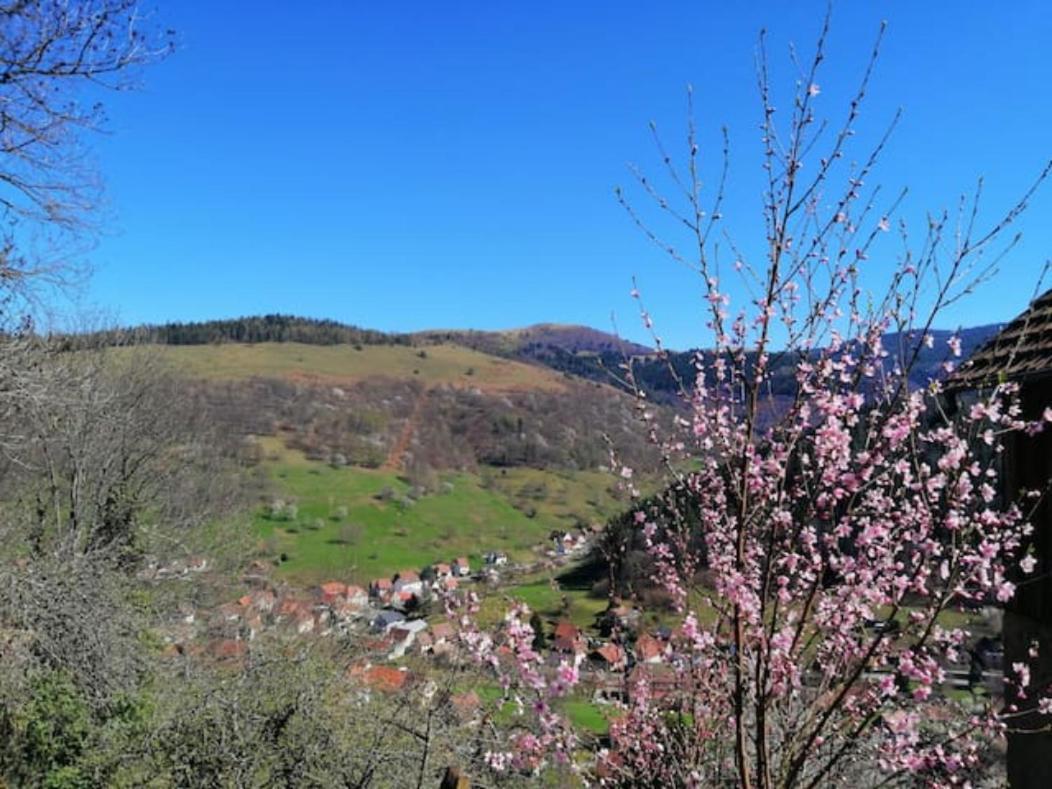 Les Locations de Stéphanie ,Gite Le Verger Sondernach Extérieur photo