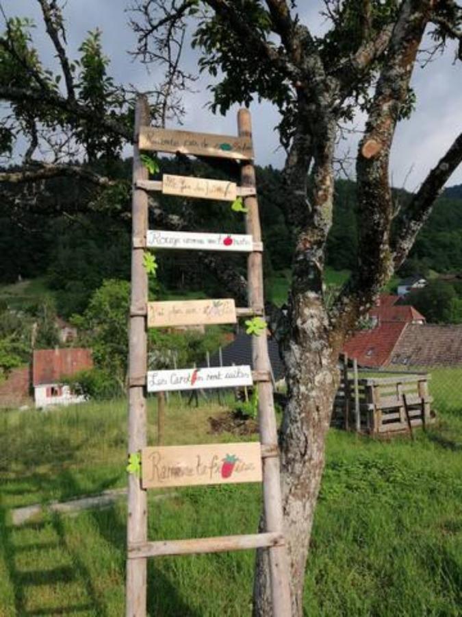 Appartement Les Locations de Stéphanie ,Gite Le Verger à Sondernach Extérieur photo