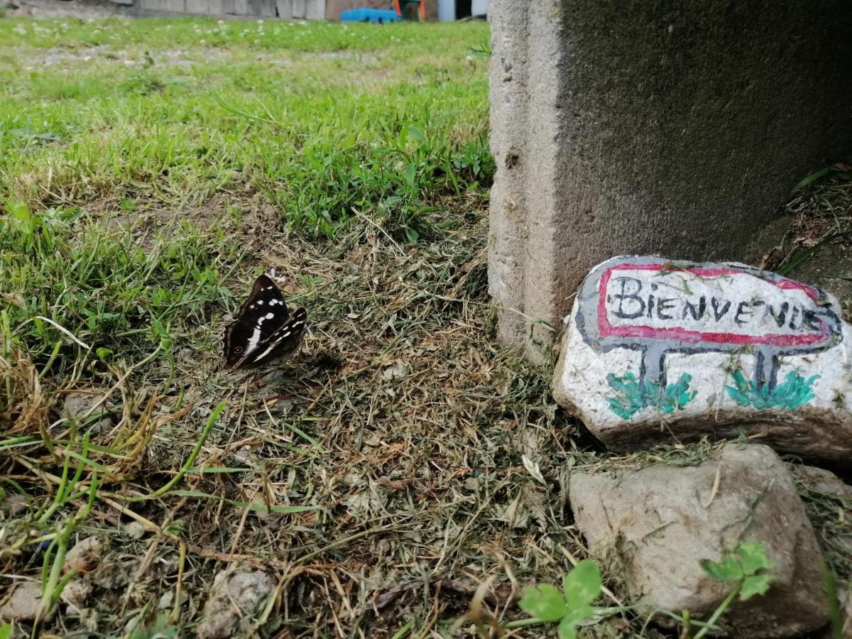 Les Locations de Stéphanie ,Gite Le Verger Sondernach Extérieur photo