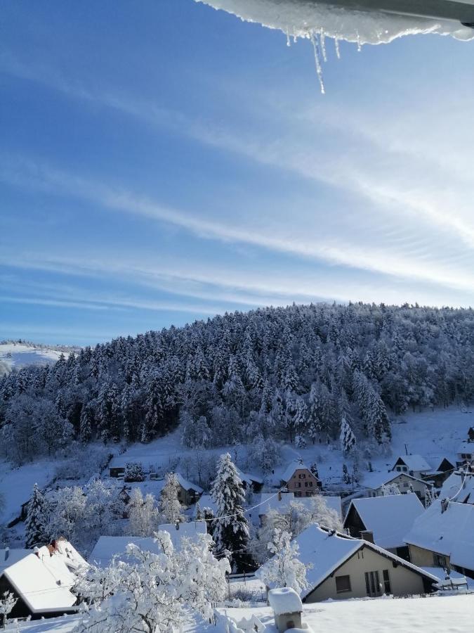 Appartement Les Locations de Stéphanie ,Gite Le Verger à Sondernach Extérieur photo