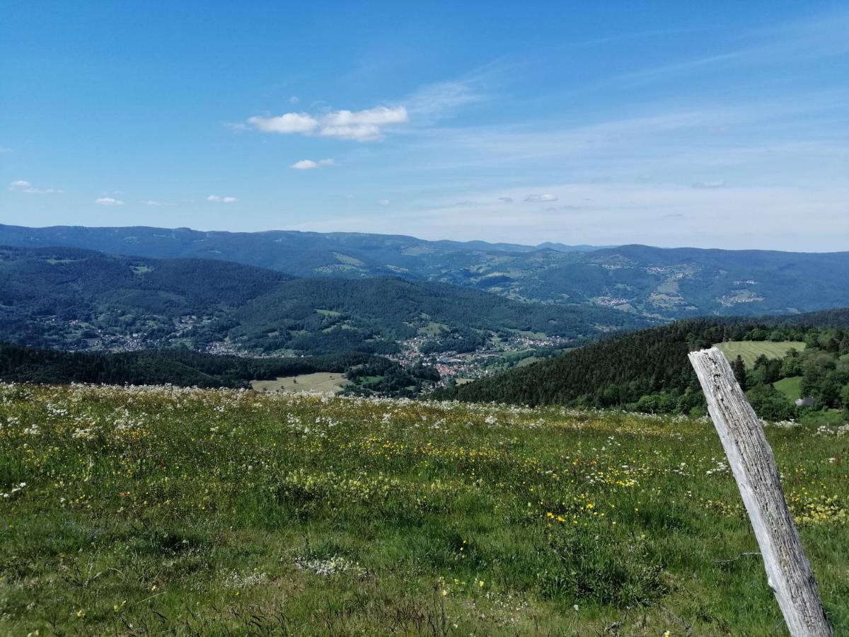 Les Locations de Stéphanie ,Gite Le Verger Sondernach Extérieur photo