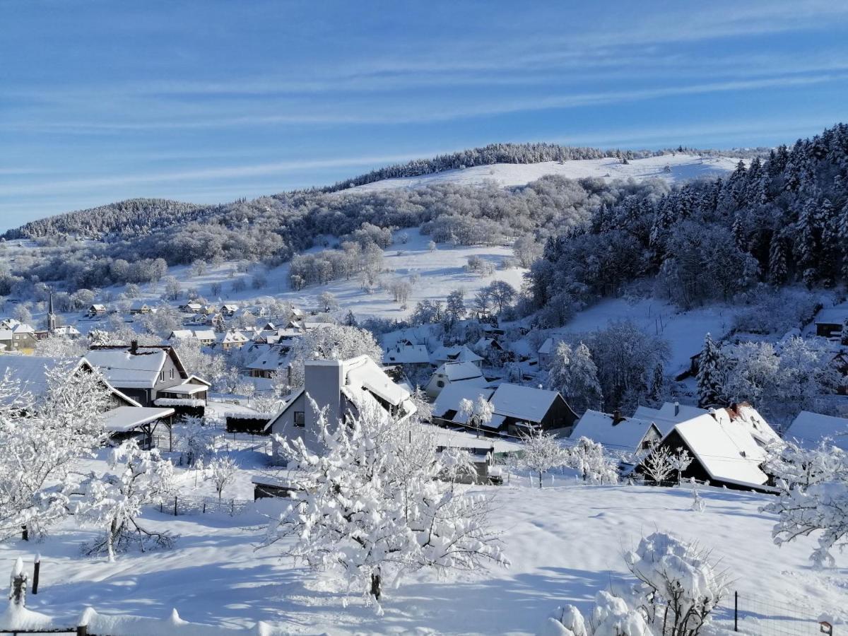 Les Locations de Stéphanie ,Gite Le Verger Sondernach Extérieur photo