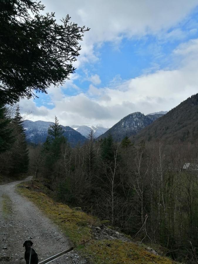 Appartement Les Locations de Stéphanie ,Gite Le Verger à Sondernach Extérieur photo